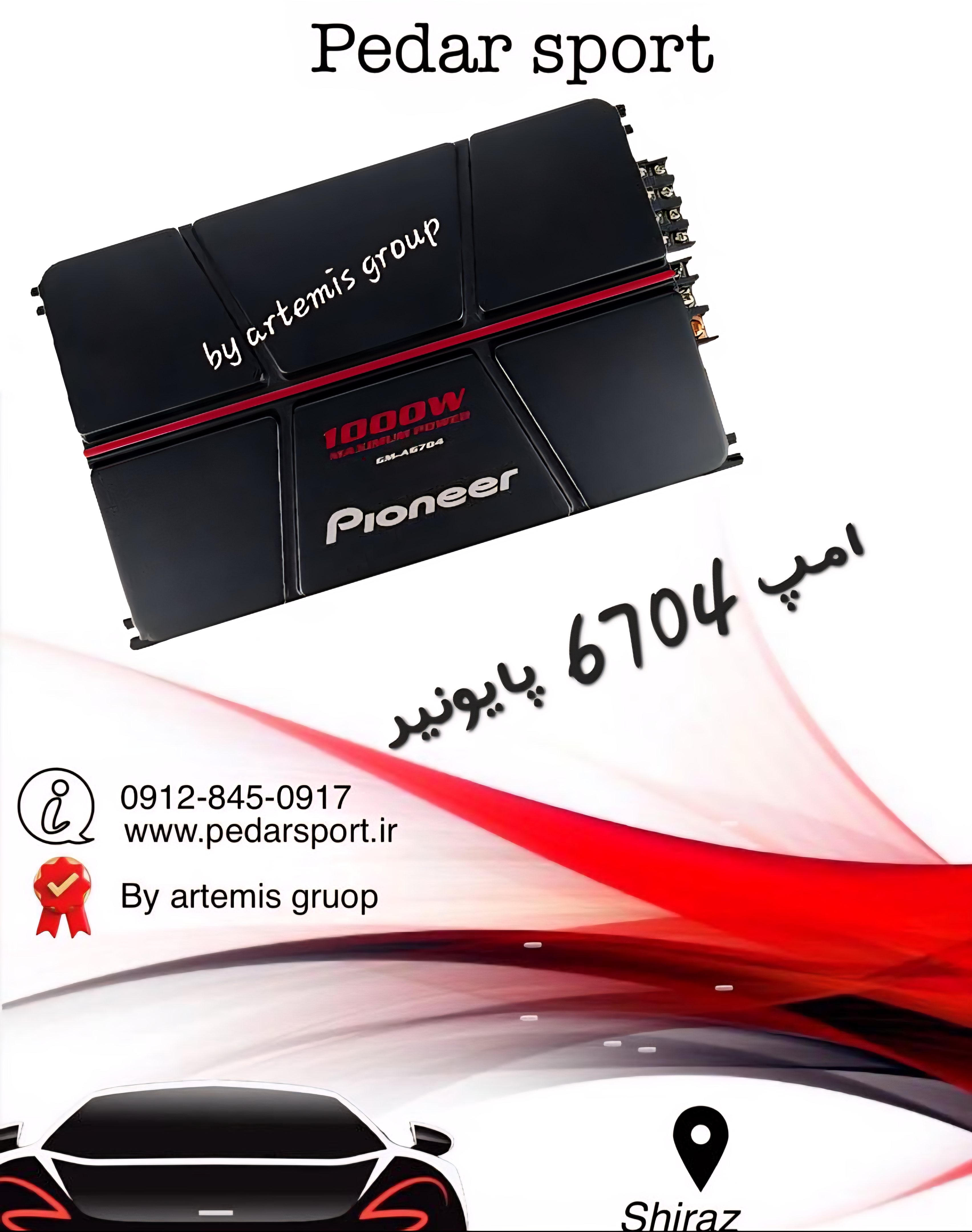 امپلی پایونیر 6704